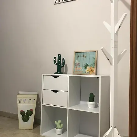 Daire Opuntia *